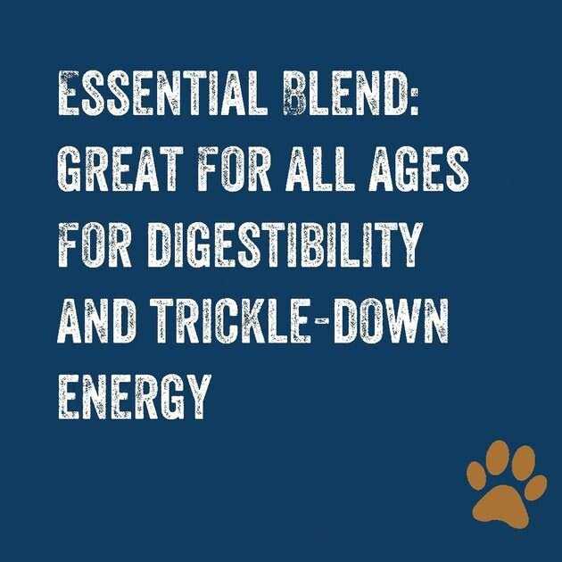 Premium Dog Food D76343