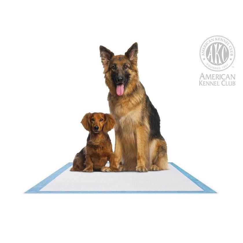 Training Pads O3404