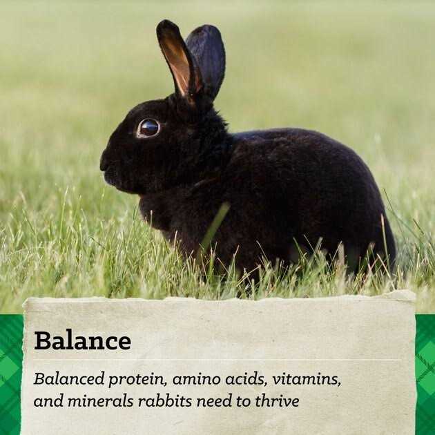 15% Premium Rabbit Feed M9417