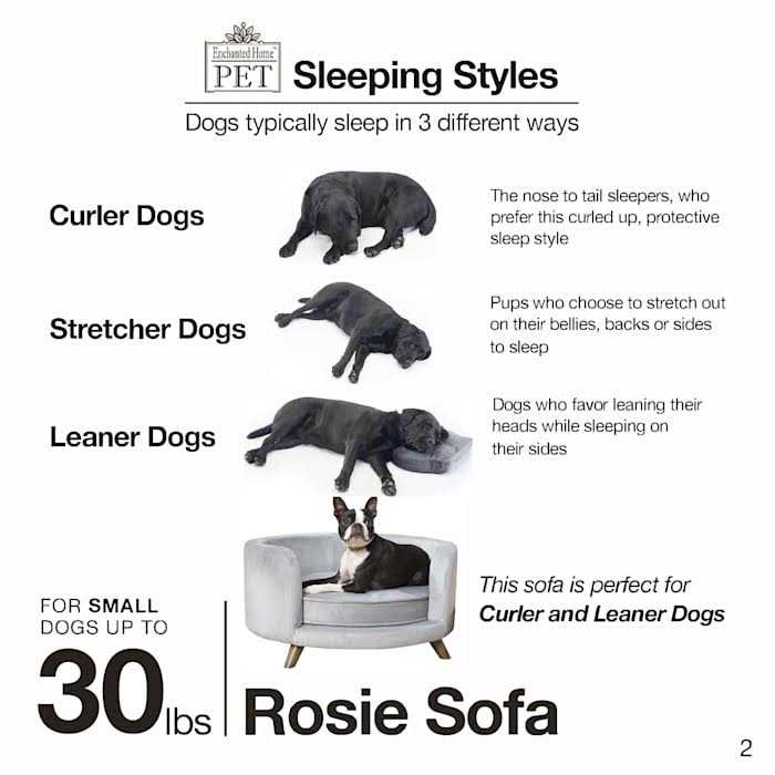 Pet Sofa X334659