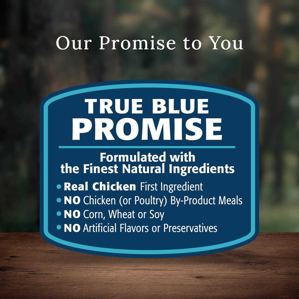 Chicken Senior Dry Dog Food J98006