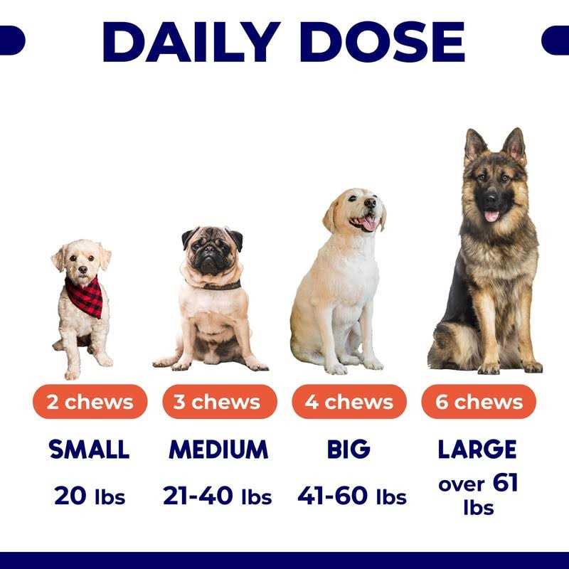 Omega 3 Fish Oil Dog Treats Y3223