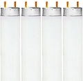 Fluorescent Light Bulb V5178