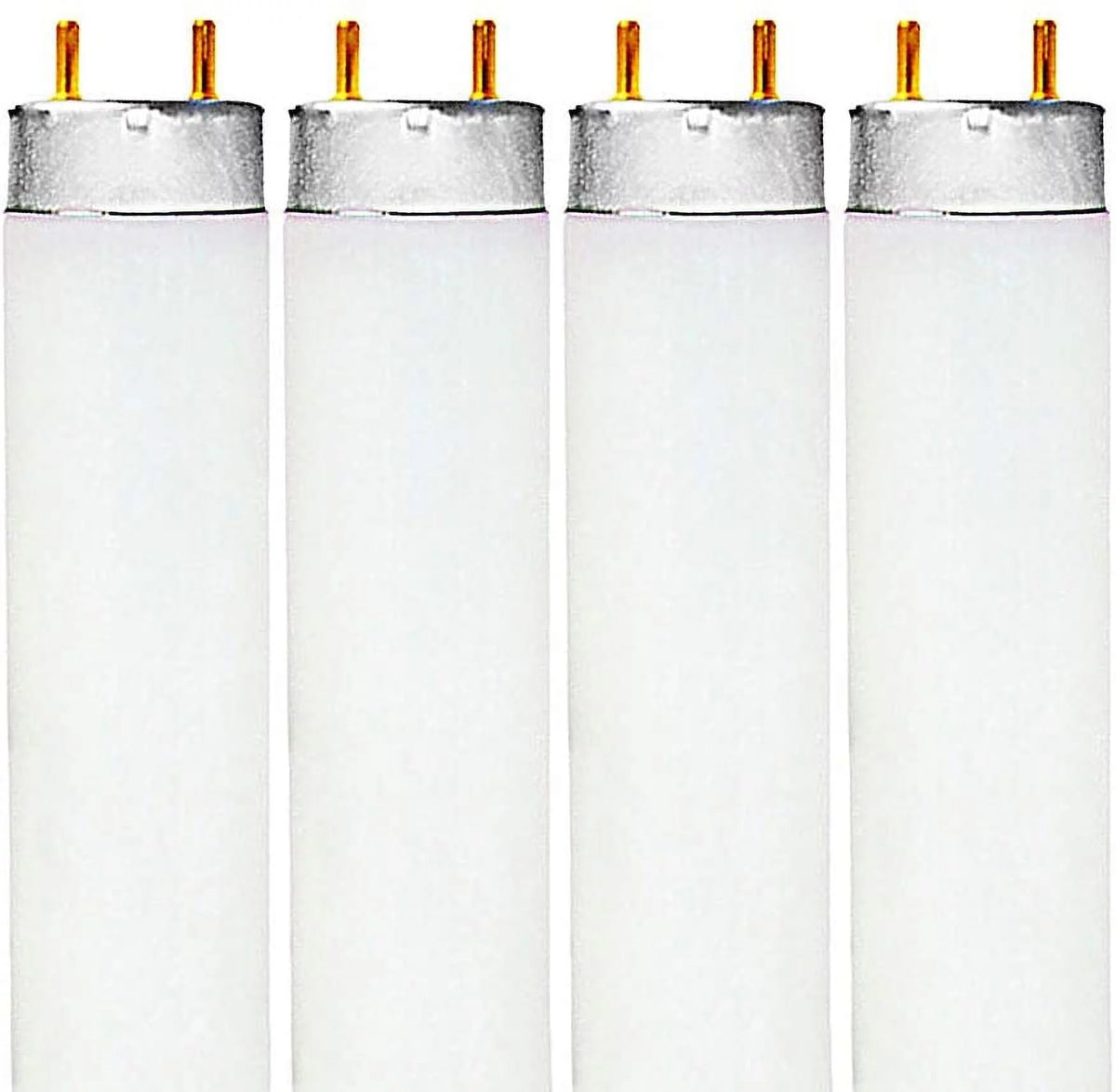 Fluorescent Light Bulb V5178