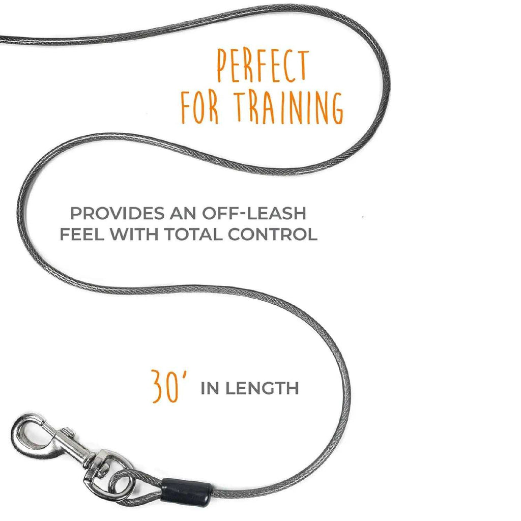 Dog Tie Out Cable V727390