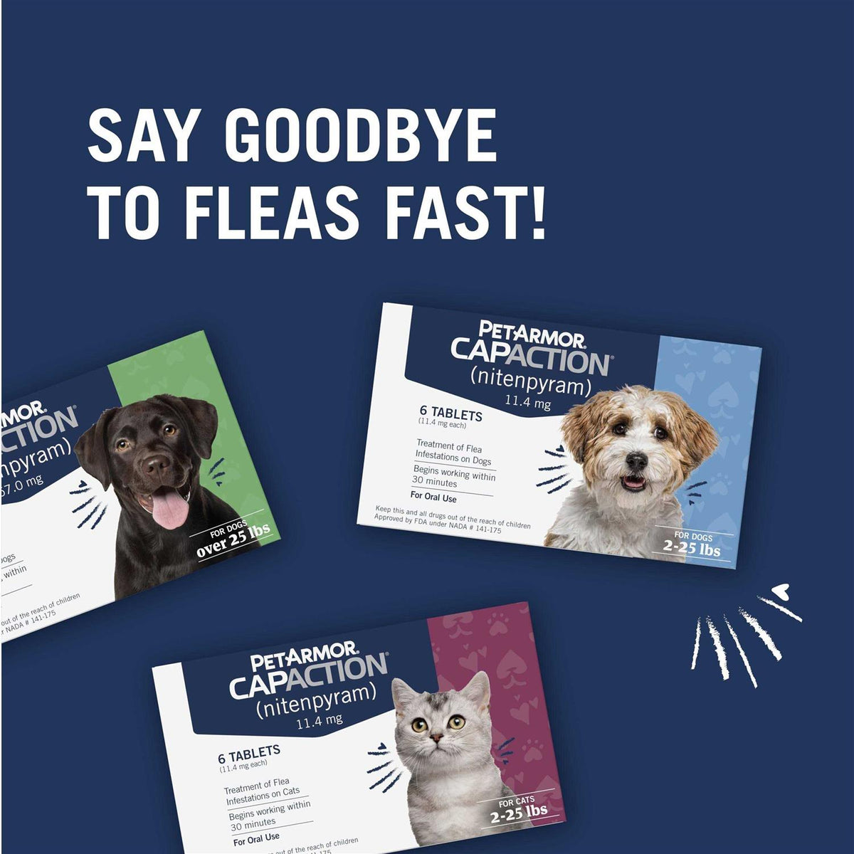 Flea & Tick Capsules C243