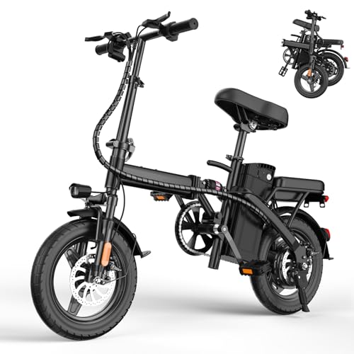 14" Folding Electric Bike 500W 48V 13Ah R59033