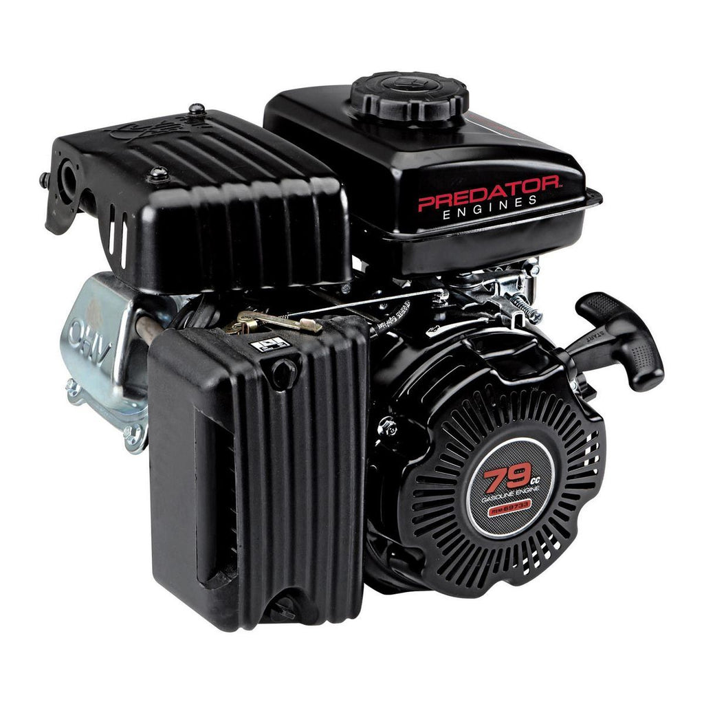79cc OHV Horizontal-Shaft Gas Engine P663