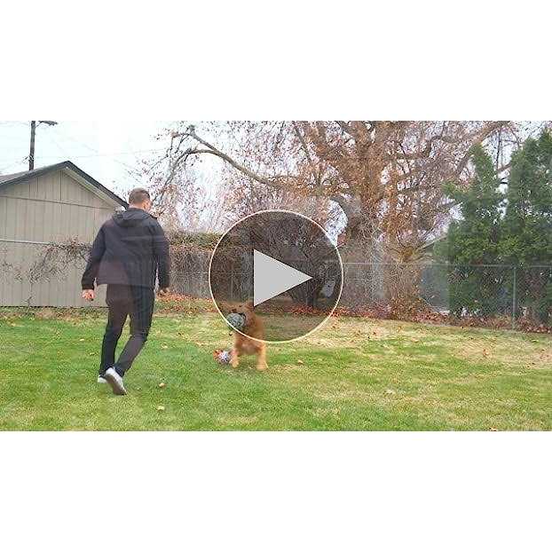 Dog Toys Soccer Ball with Straps P418