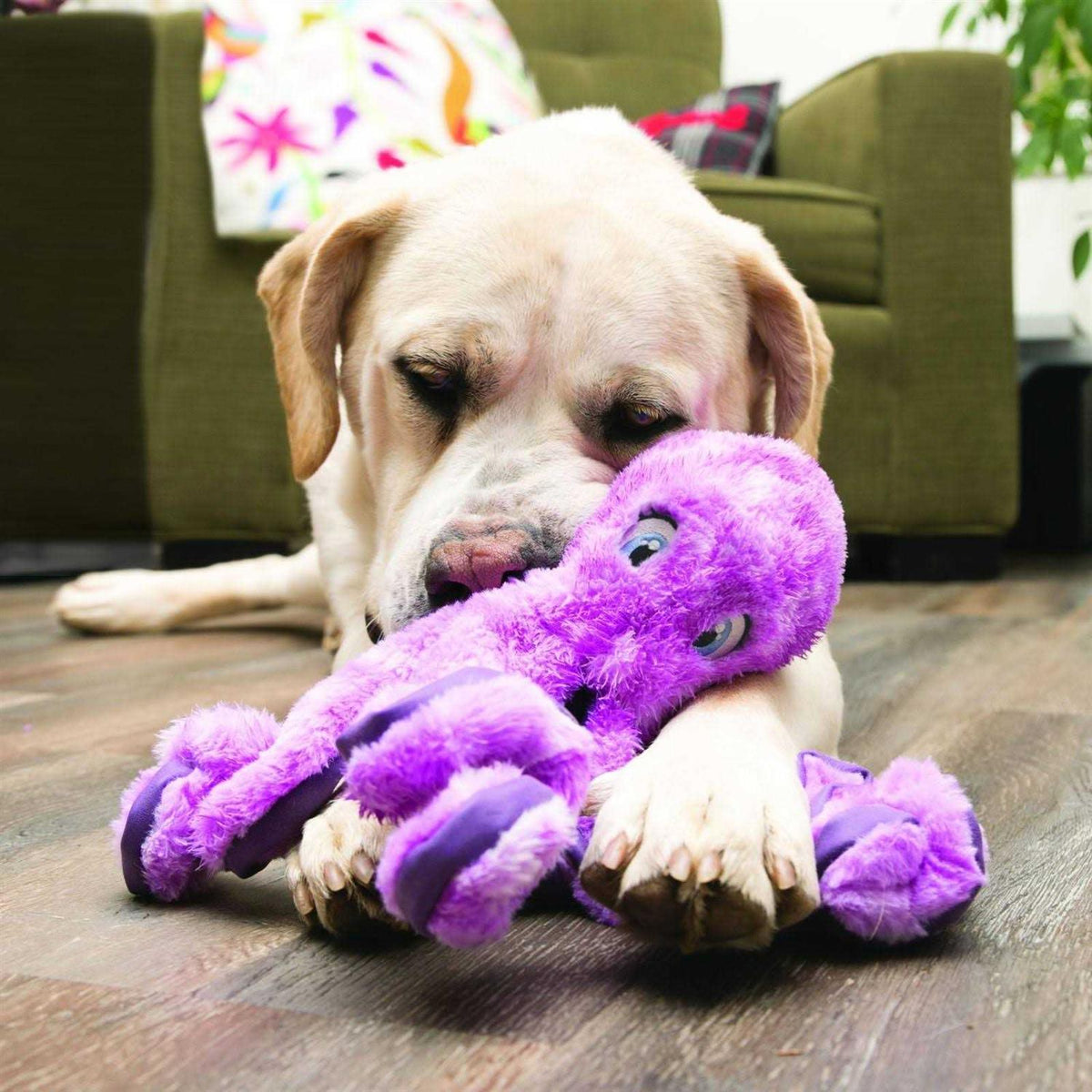 Octopus Dog Toy Q4525