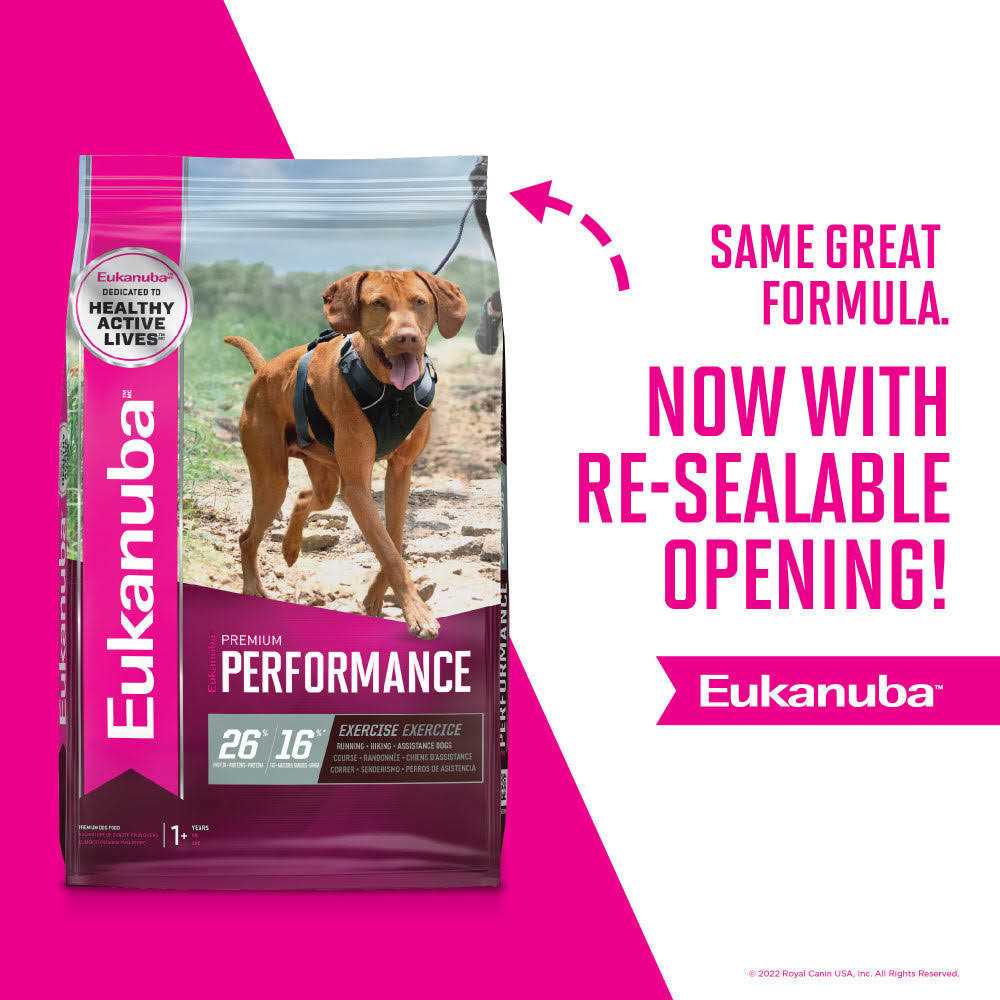 Dry Dog Food N123751