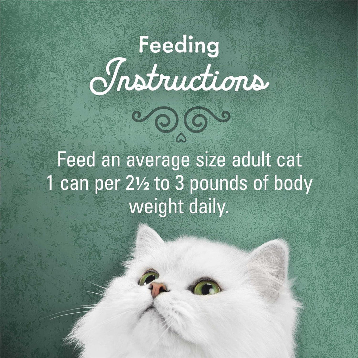 Wet Cat Food I7429
