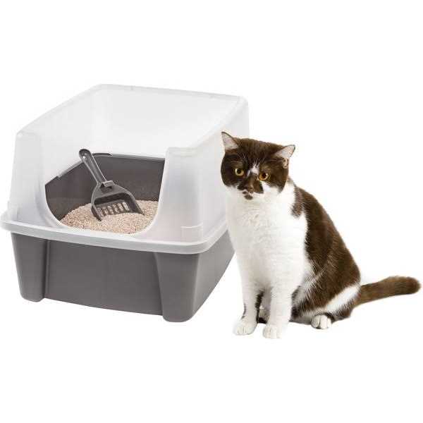 Open Top Cat Litter Box with Shield and Scoop Q1784