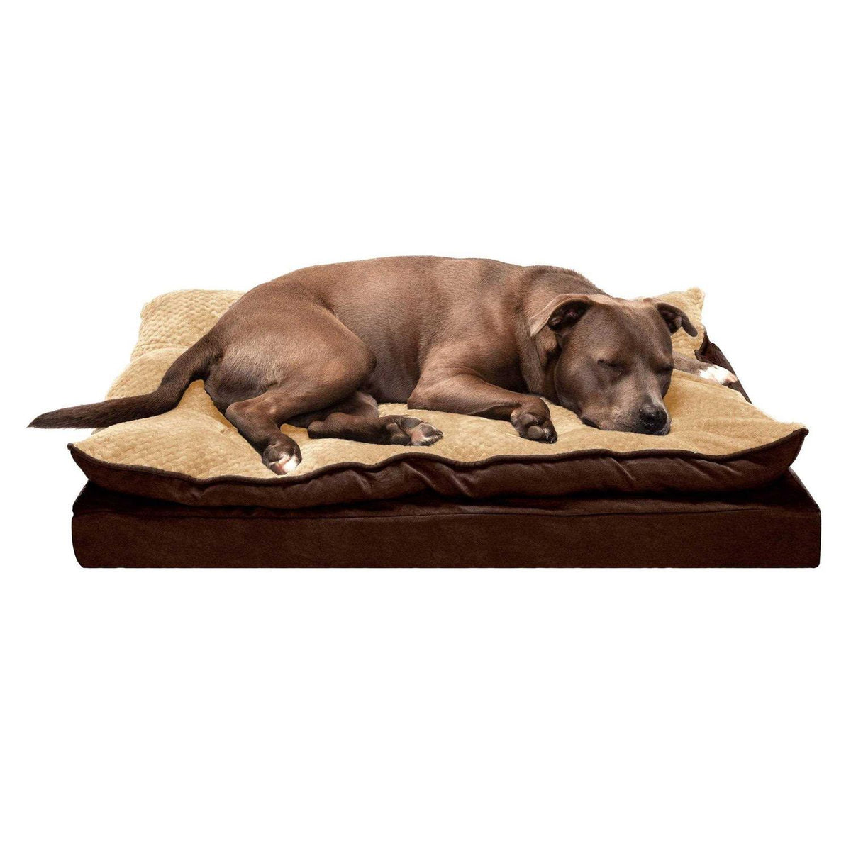 Orthopedic Dog Bed D740