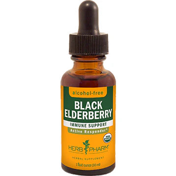 Black Elderberry M108