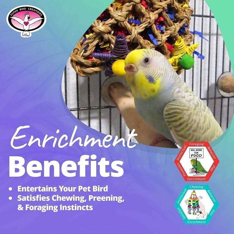 Pet Supplies F28087