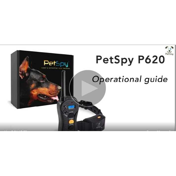 Dog Training Shock Collar for 2 Dogs with Vibration Electric Shock A30756