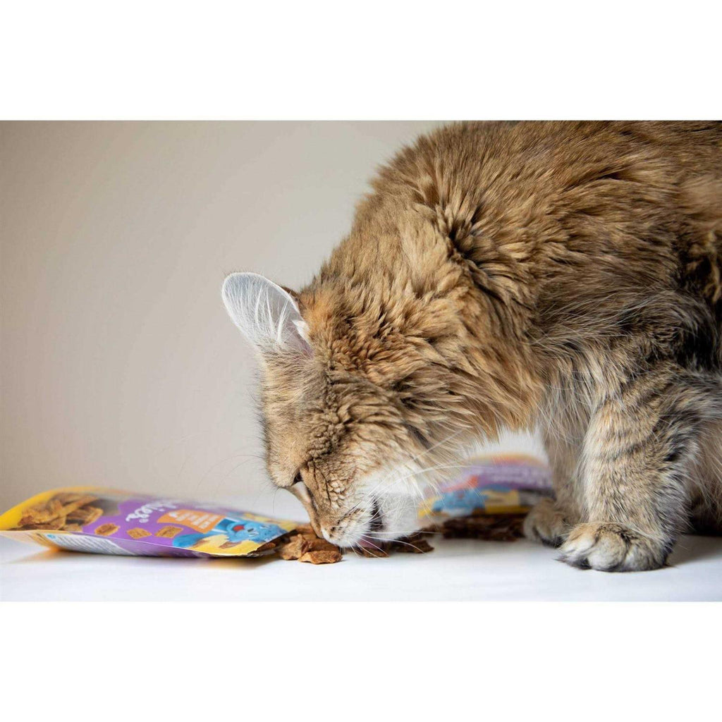 Cat Treats K88298