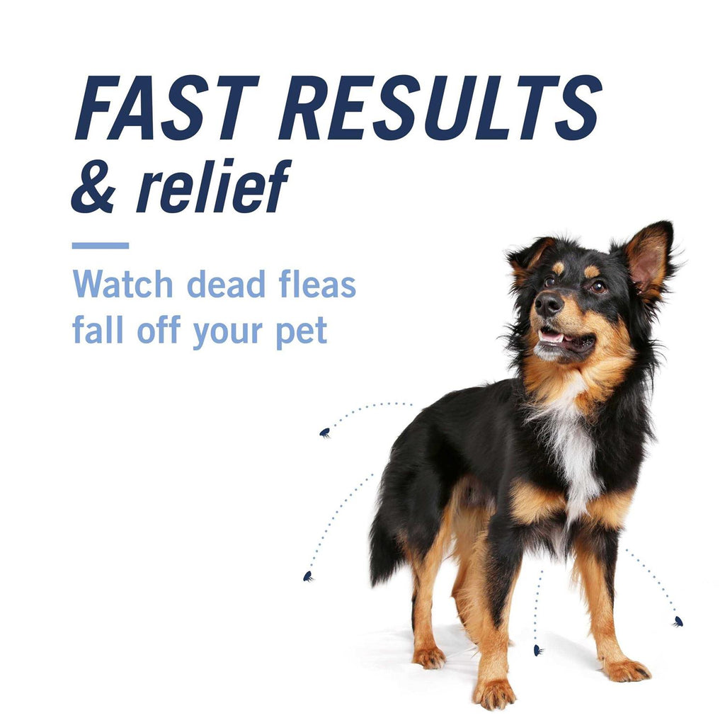Flea & Tick Capsules C243