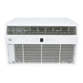14,000 BTU 230V Built-In Through-the-Wall Air Conditioner with Remote Control F52824
