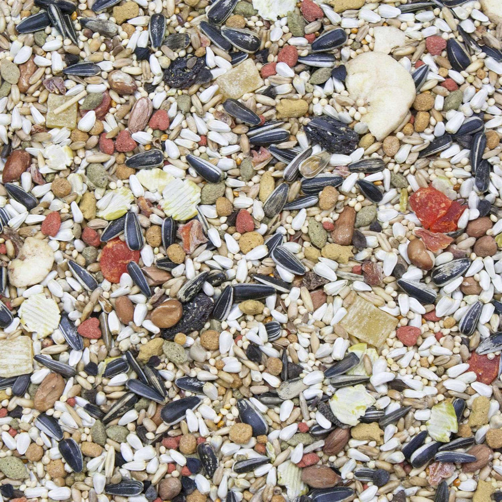 Conure & Lovebird Food Y69082