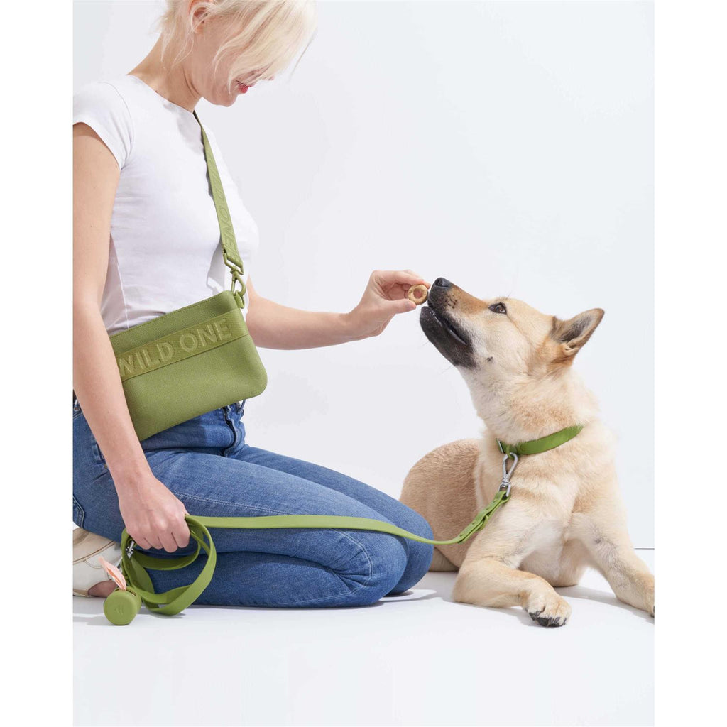 Dog Leash R538073