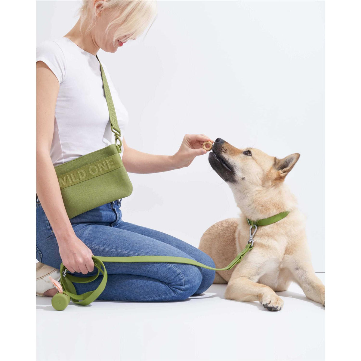 Dog Leash R538073