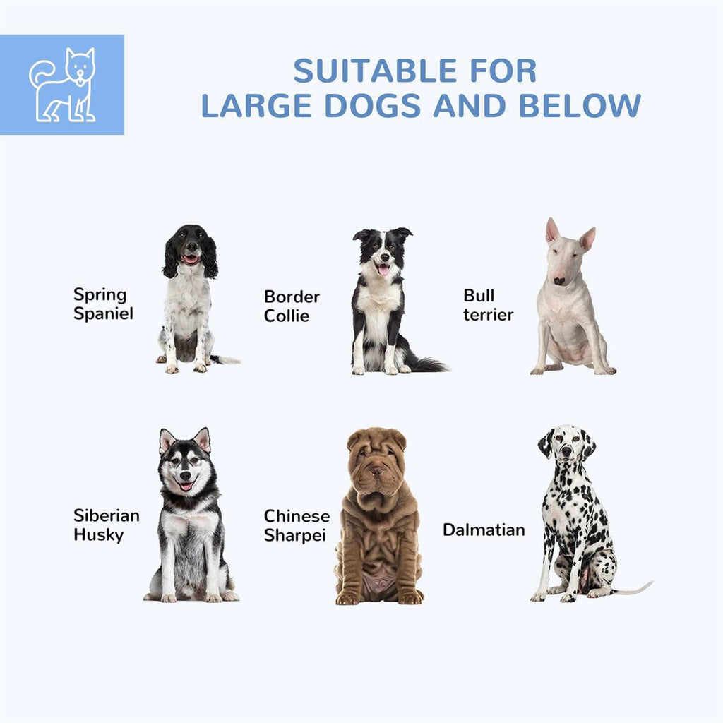 Large Outdoor Dog Kennel with Waterproof Roof O667167