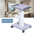 White Salon Trolley Rolling Cart with ABS Drawers E8863