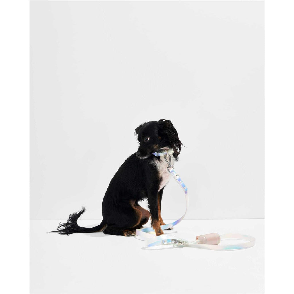 Dog Leash R538073