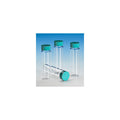 Borosilicate Glass Vial 0.14 oz Pk 144 F819598