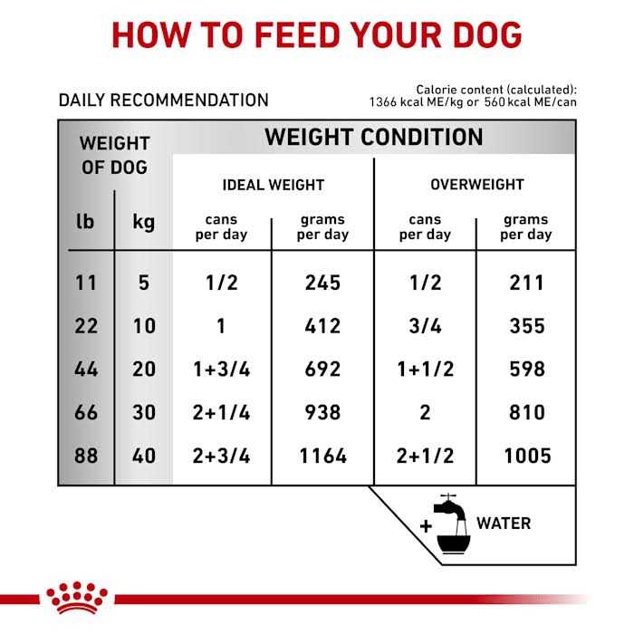Veterinary Diet Hepatic Canned Dog Food N7300