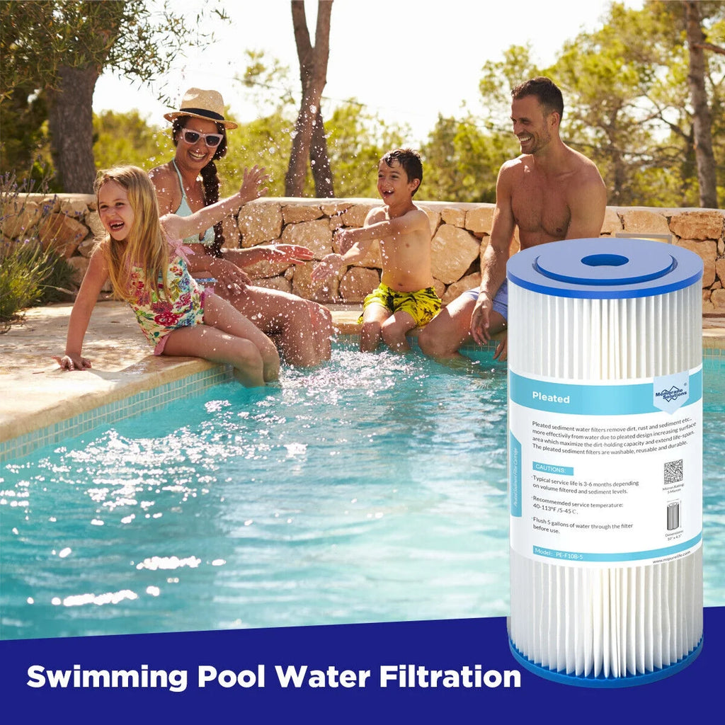 10" x 4.5" Pleated Sediment Water Filter Replacement, Pack of 2 O4516