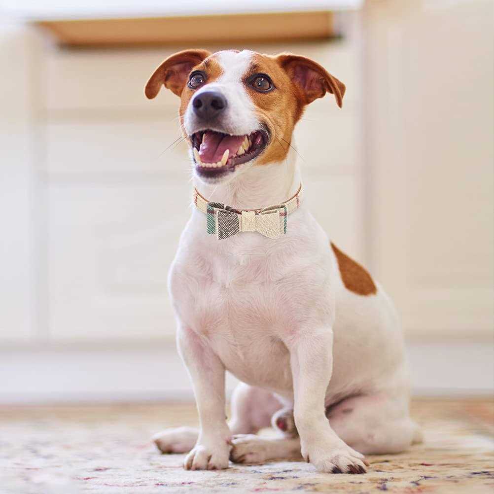Bow Tie Dog Collar and Leash Set L690654
