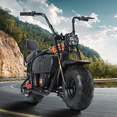 36V 1000W Electric Dirt Bike, 2-Speed Off-Road Motorcycle, Dark Red D43691