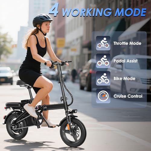 14" Folding Electric Bike 500W 48V 13Ah R59033