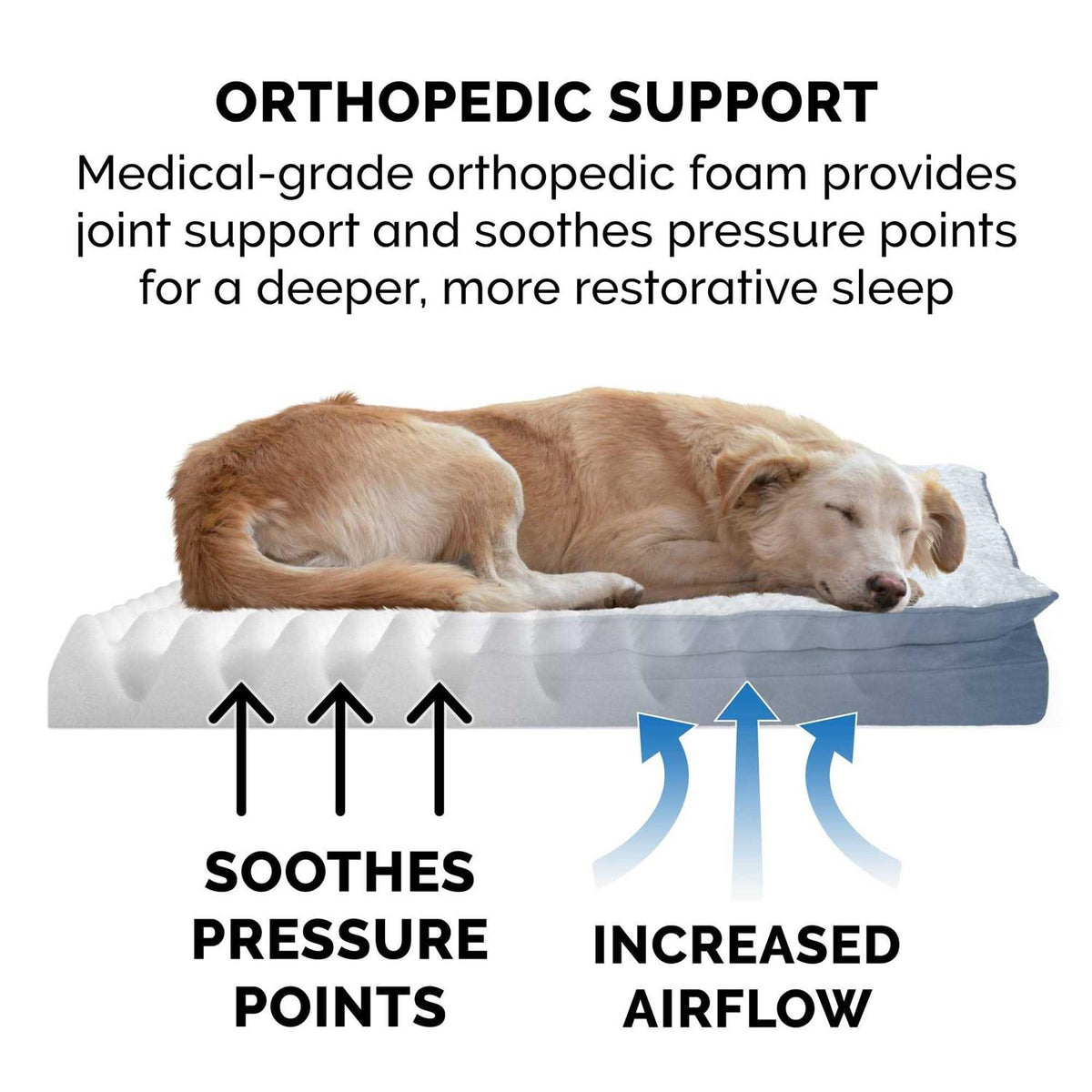Orthopedic Dog Bed D740