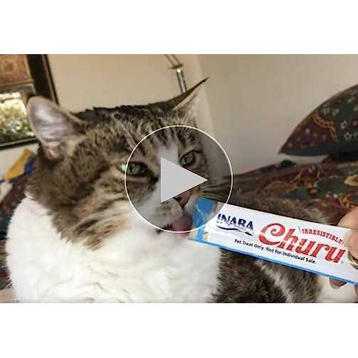 Grain-Free Tuna Flavor Cat Treats B359171
