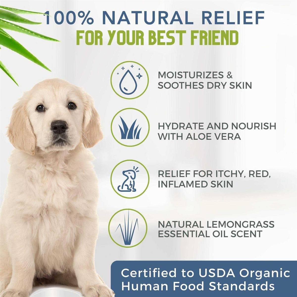 Certified Organic Hypoallergenic Dog Shampoo with Aloe and Lemongrass B58561