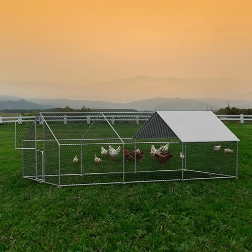 Large Walk in Metal Chicken Coop for 10 Chickens R39713