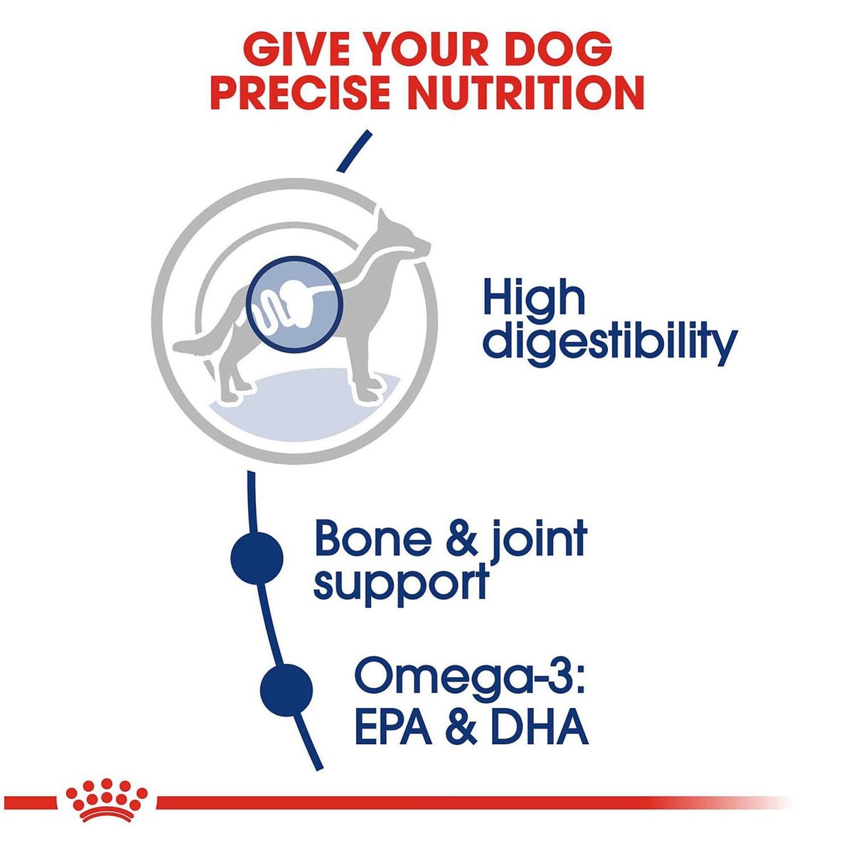 Large Breed Adult Dog Dry Food R919