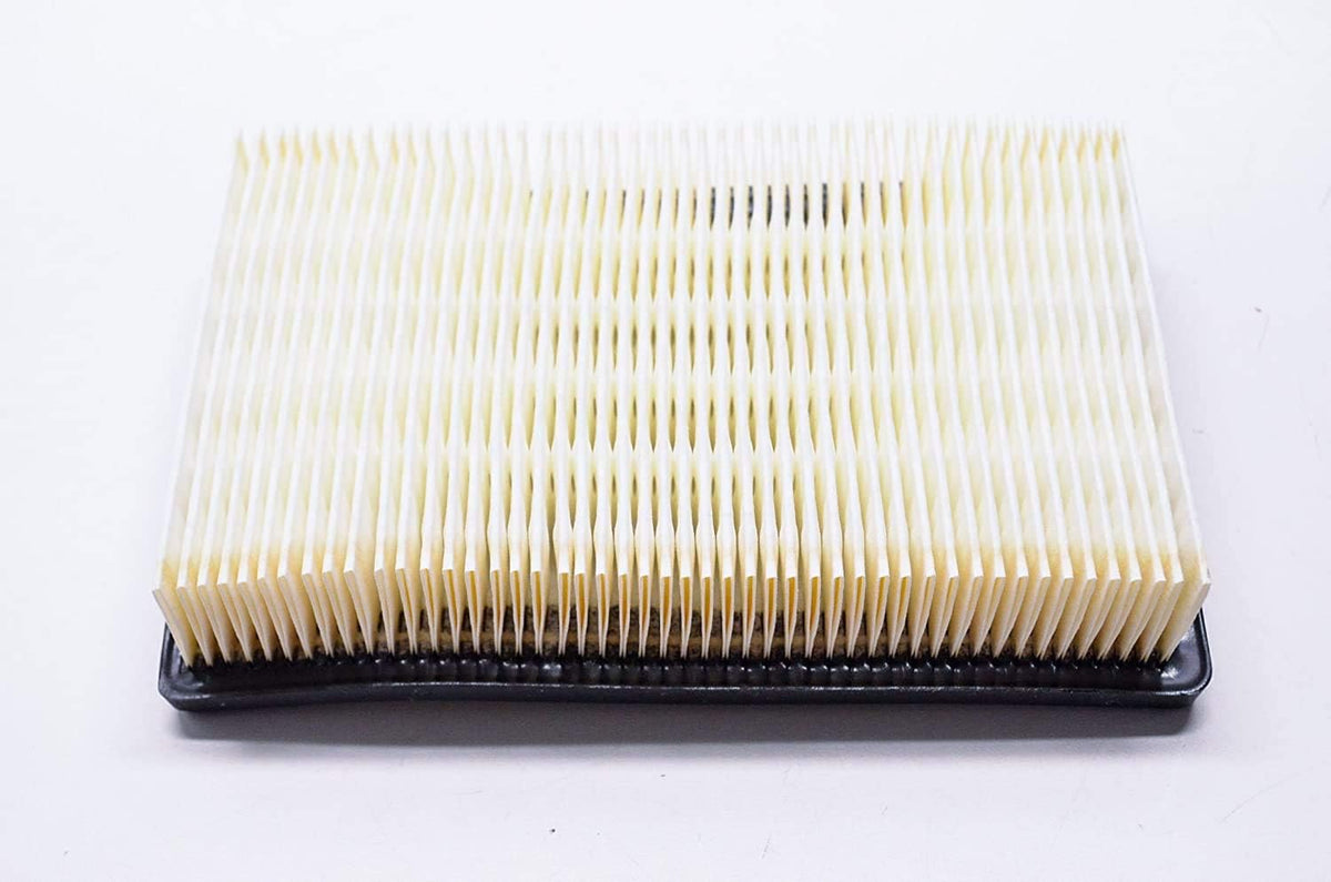 Air Filter G3163