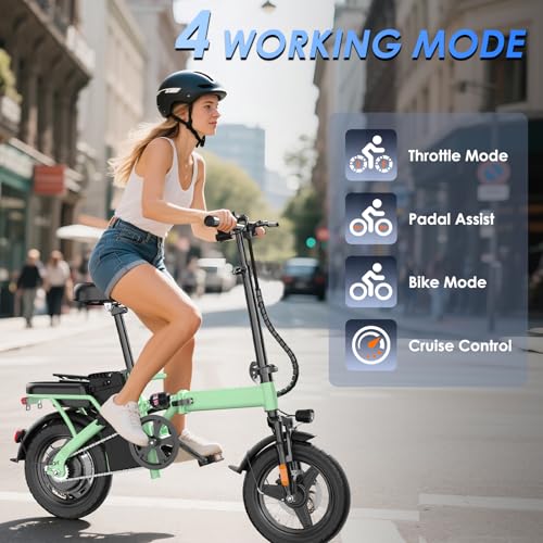 14" Folding Electric Bike 500W 48V 13Ah R59033