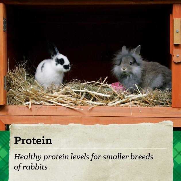 15% Premium Rabbit Feed M9417