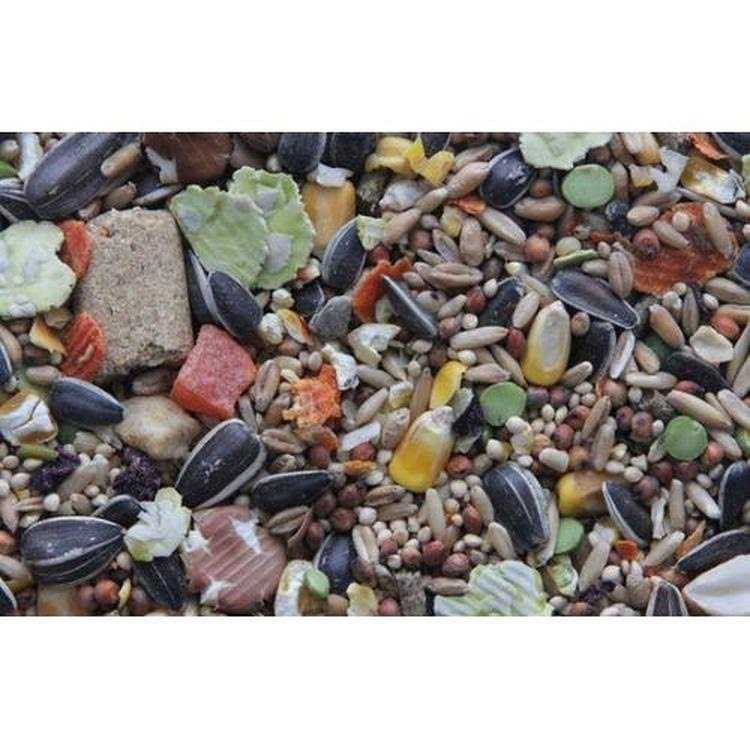 Gourmet Blend Rat & Mouse Food C435702