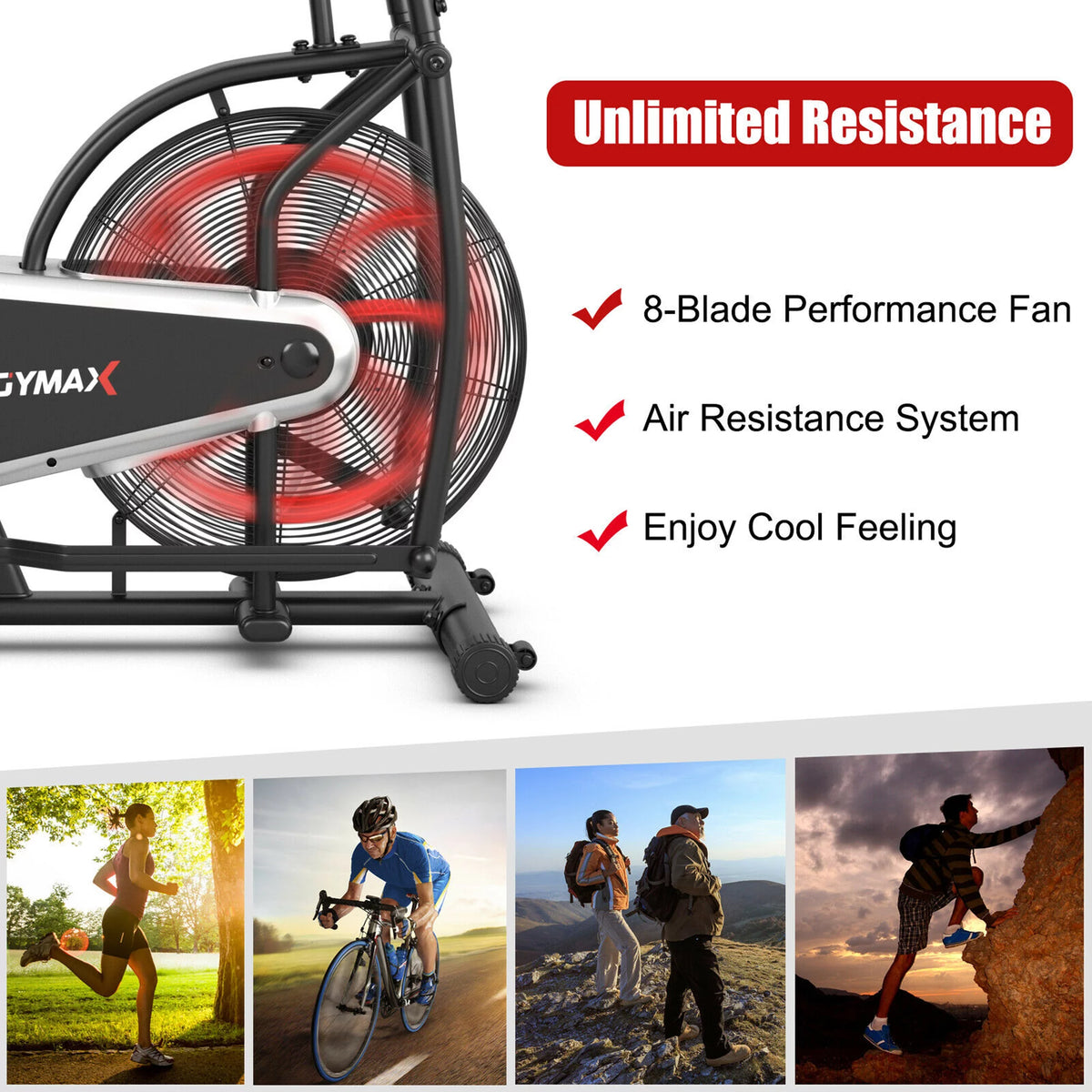Fan Exercise Bike with LCD Display E790