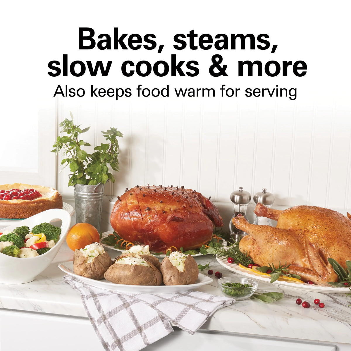 Electric Roaster Oven, 22 Quarts, Stainless Steel S248553