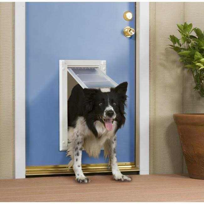 Double Flap Pet Door D39900