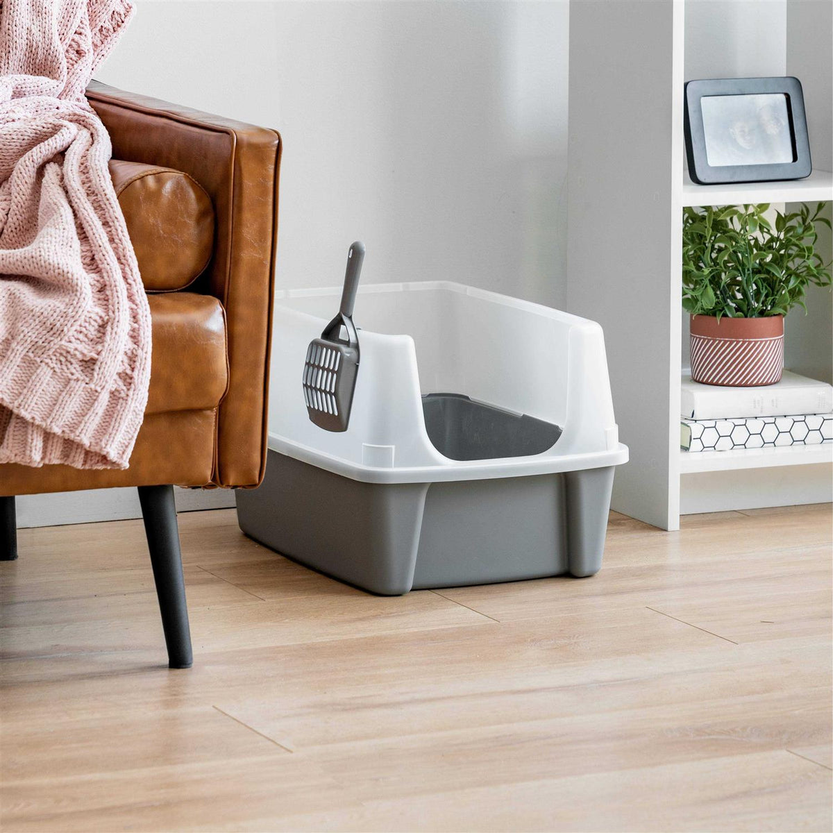 Open Top Cat Litter Box with Shield and Scoop Q1784