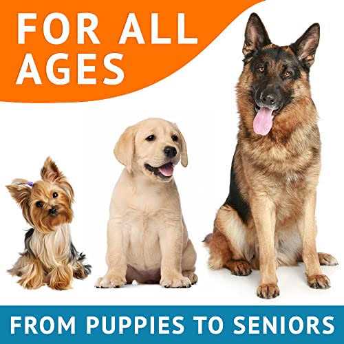 Omega 3 Fish Oil Dog Treats Y3223